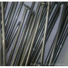 Standard Nails Suministros Zinc Galvanized Iron Concrete Nails